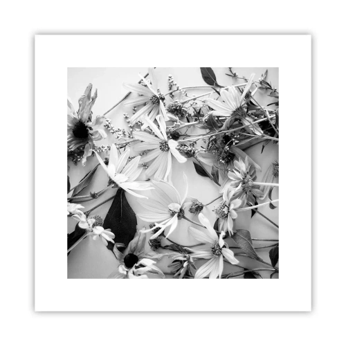 Plakát - Květiny bez kytice - 30x30 cm