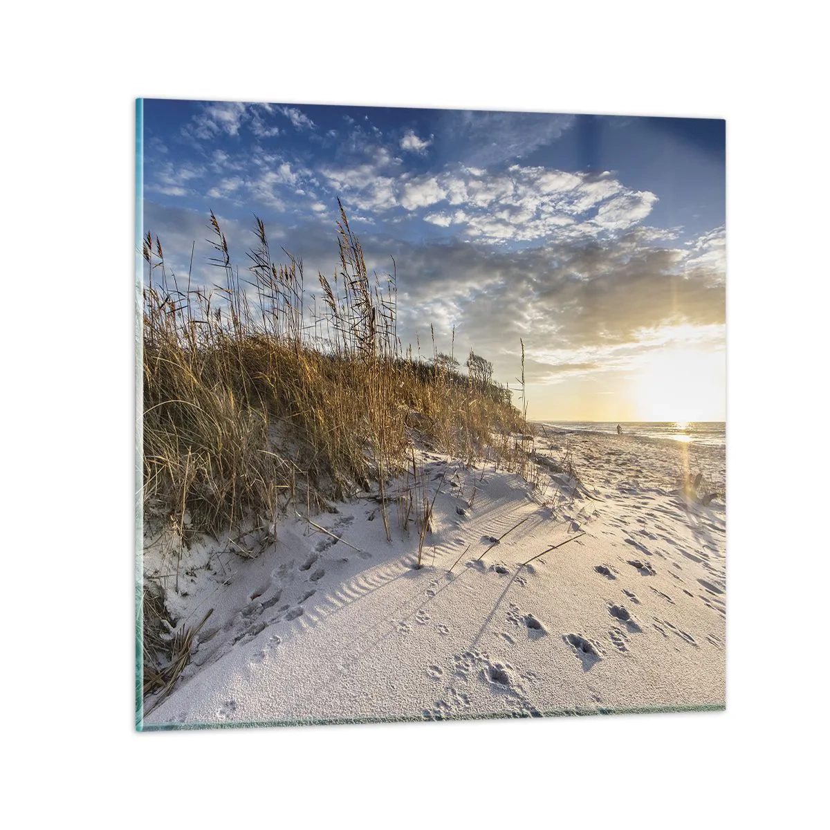 Obraz na skle - Pozvánka na procházku - 70x70 cm