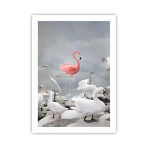 Plakát - Kde jsem se tu vzal? - 50x70 cm