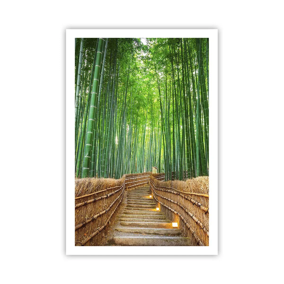 Plakát - Esence asijské přírody - 61x91 cm