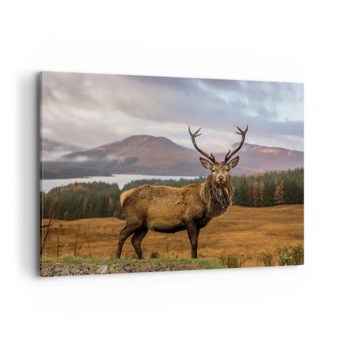 Obraz na plátně - Majestát přírody - 100x70 cm