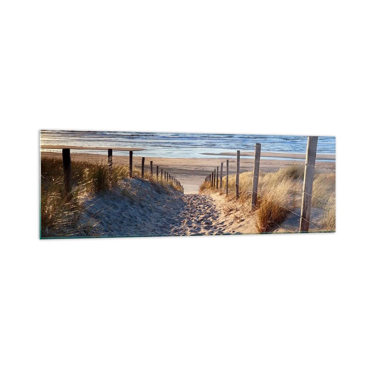 Obraz na skle - Šumění moře, zpěv ptáků, divoká pláž uprostřed trávy… - 160x50 cm