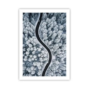 Plakát - Zimním lesem - 50x70 cm