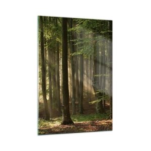 Obraz na skle - Rozzářený v jarním ránu - 50x70 cm