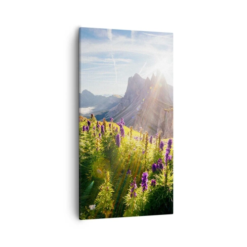 Obraz na plátně - Tajemný život bylin - 55x100 cm