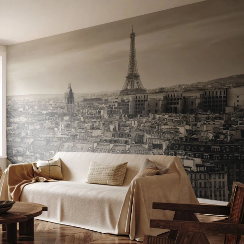 Fototapeta na míru Samolepicí Deluxe Sticker - Nad střechami Paříže - Město, Paříž, Architektura