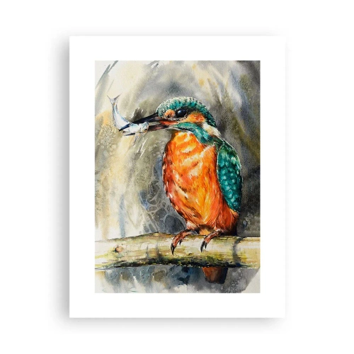 Plakát - Přírodní zákon - 30x40 cm