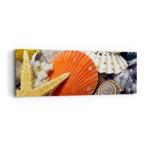 Obraz na plátně - Poklady oceánu - 90x30 cm
