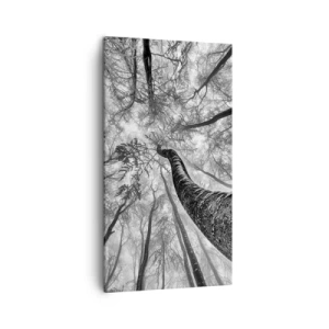 Obraz na plátně - Závod ke světlu - 45x80 cm