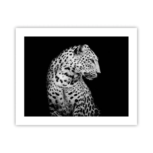 Plakát - Pravý profil perfektní! - 50x40 cm