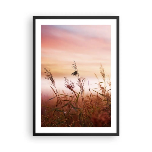 Plakát v černém rámu - Trávy proti barevné obloze při západu slunce - 50x70cm - Draci, pampelišky a vítr - Moderní nástěnná dekorace do obývacího pokoje a ložnice ARTTOR