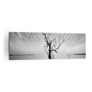 Obraz na plátně - Symfonie přírody - 160x50 cm