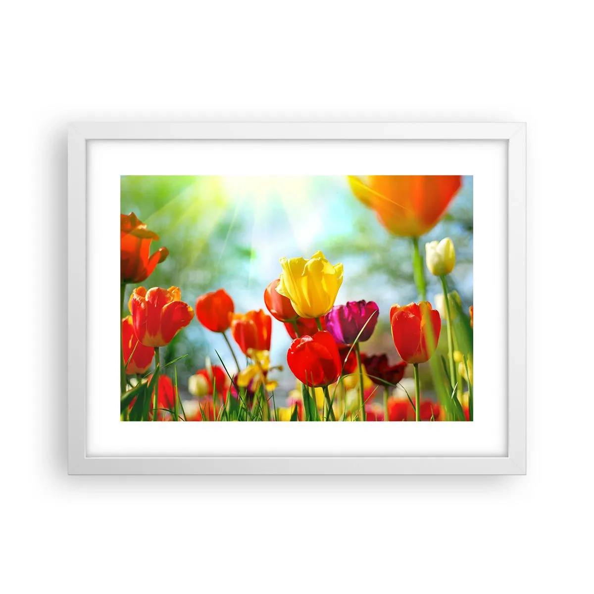 Plakát v bílém rámu - Všechny barvy slunce - 40x30 cm