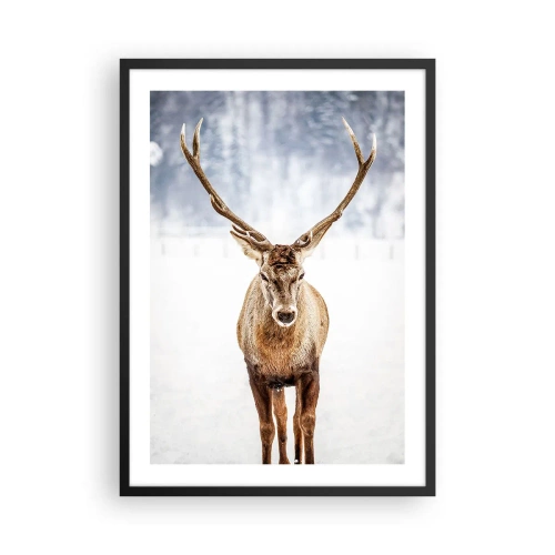 Plakát v černém rámu - Majestátní jelen na pozadí zimní krajiny - 50x70cm - Přímo ze sněhové mlhy - Moderní nástěnná dekorace do obývacího pokoje a ložnice ARTTOR