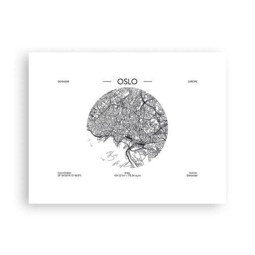 Plakát - Anatomie Osla - 40x30 cm