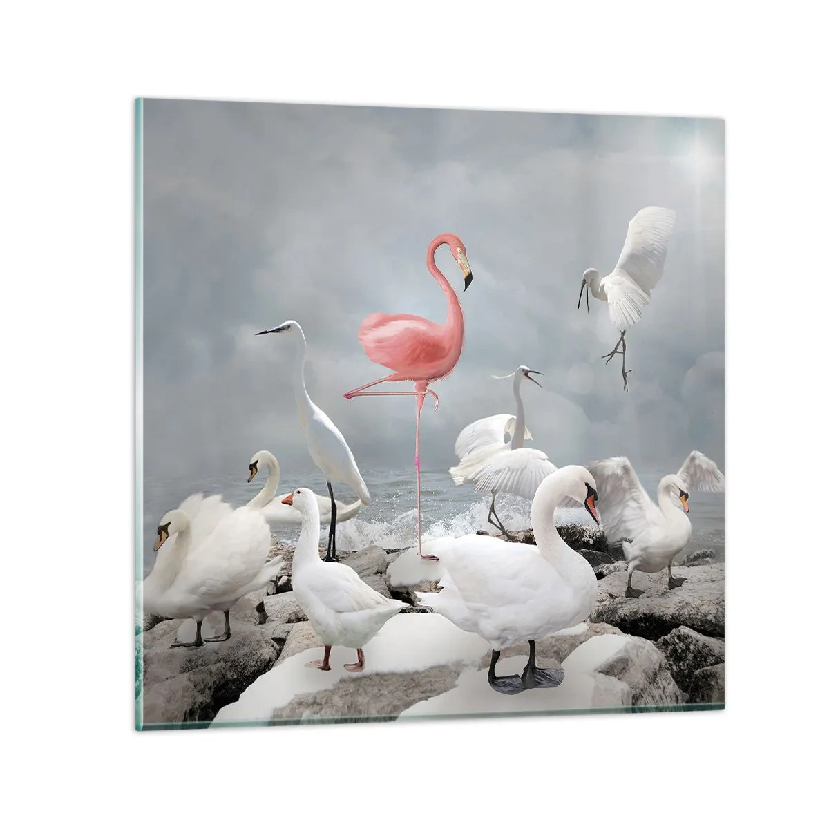 Obraz na skle - Kde jsem se tu vzal? - 70x70 cm