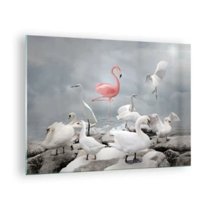 Obraz na skle - Růžový plameňák mezi bílými labutěmi a volavkami na pozadí vody - 70x50cm - Kde jsem se tu vzal? - Moderní nástěnná dekorace do obývacího pokoje a ložnice ARTTOR