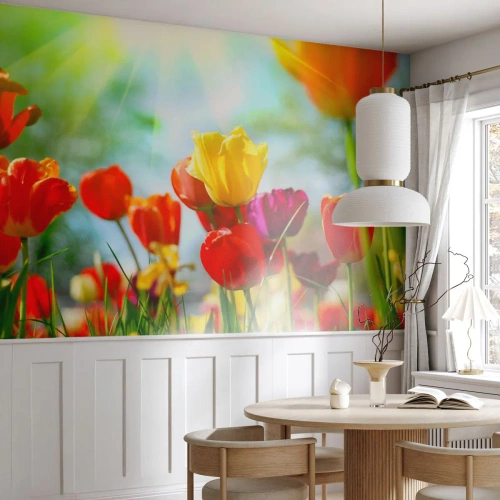 Fototapeta Premium Canvas - Všechny barvy slunce - tulipány, Květiny, Louka - 200x140 cm