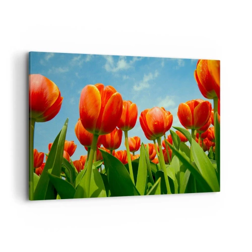 Obraz na plátně - Kromě blankytného nebe nic v životě nepotřebují - 100x70 cm