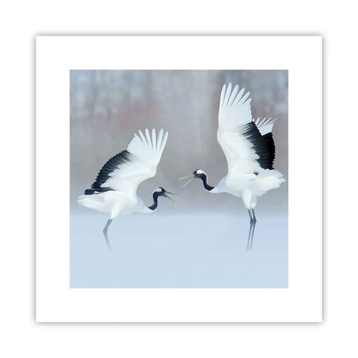 Plakát - Tanec v mlze - 30x30 cm