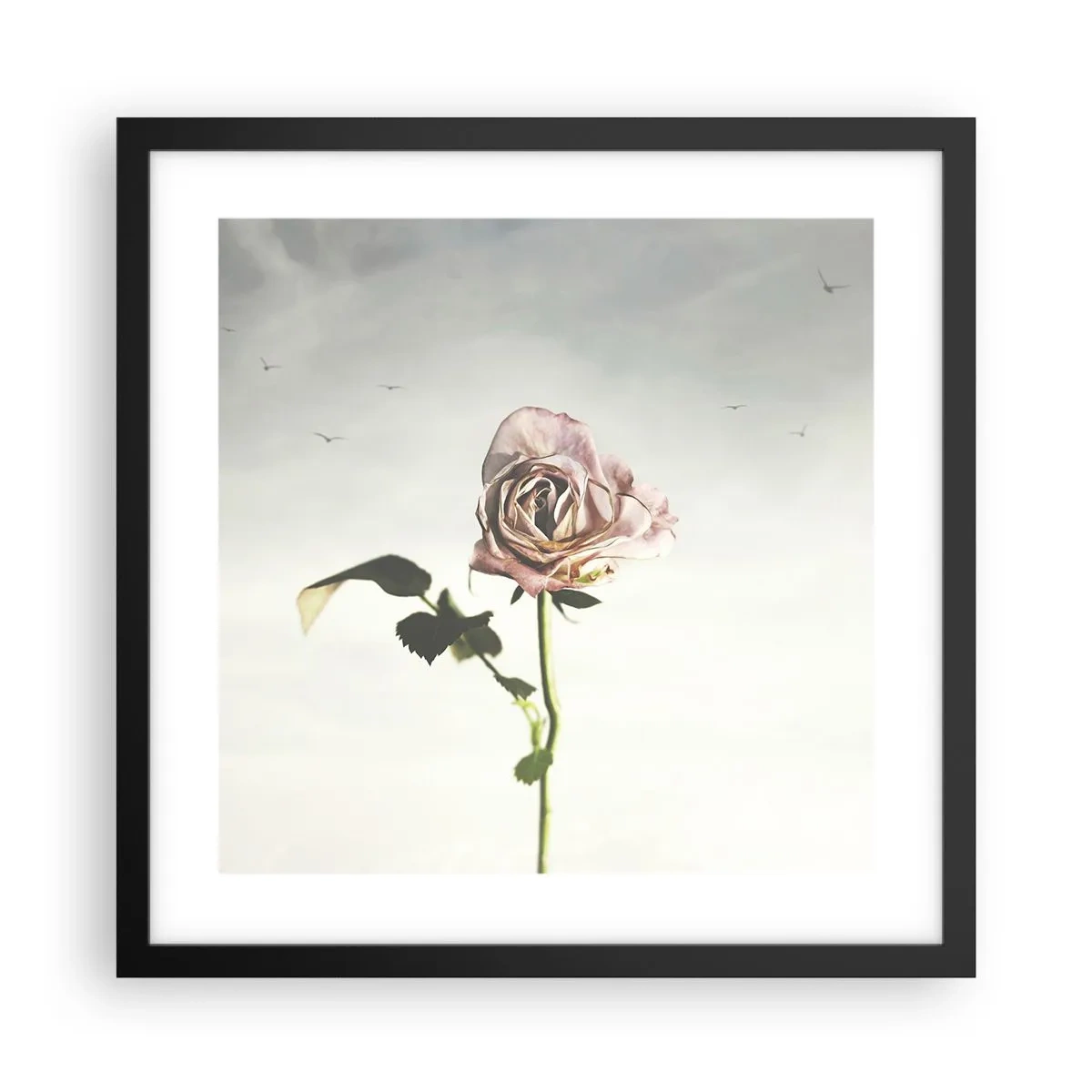 Plakát v černém rámu - Vítání jara - 40x40 cm