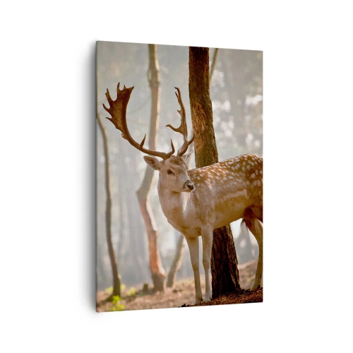 Obraz na plátně - Světlo mládí - 70x100 cm