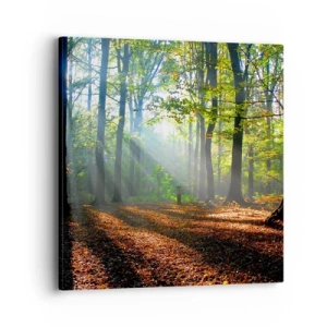 Obraz na plátně - Světla a stíny - 40x40 cm