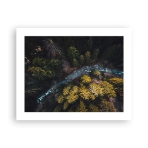 Plakát - Rychle, stále rychleji - 50x40 cm