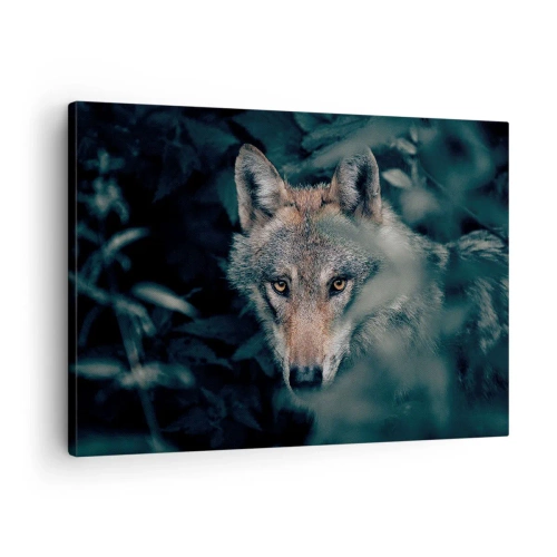 Obraz na plátně - Vlk ve svém přirozeném prostředí, vyhlížející z hlubin lesa. - 70x50cm - Predátor - Moderní nástěnná dekorace do obývacího pokoje a ložnice ARTTOR
