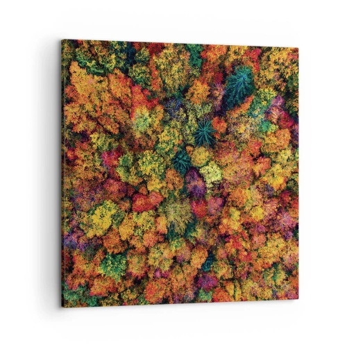 Obraz na plátně - Kytice podzimních stromů - 50x50 cm