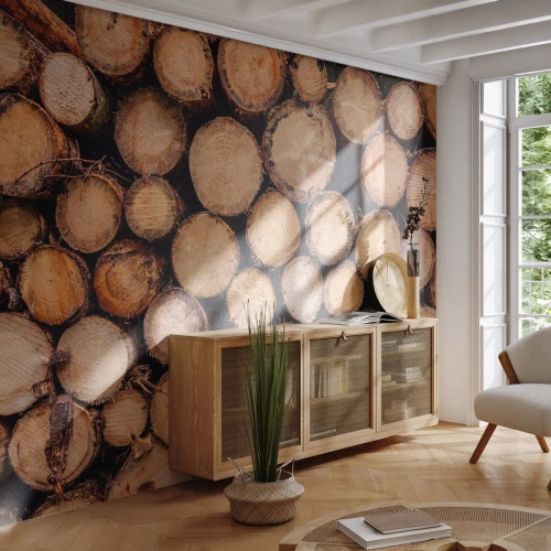 Fototapeta na míru Standard Eco - Nový začátek - Dřevo, Dřevěné kulatiny, Příroda