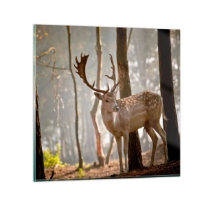 Obraz na skle - Světlo mládí - 30x30 cm