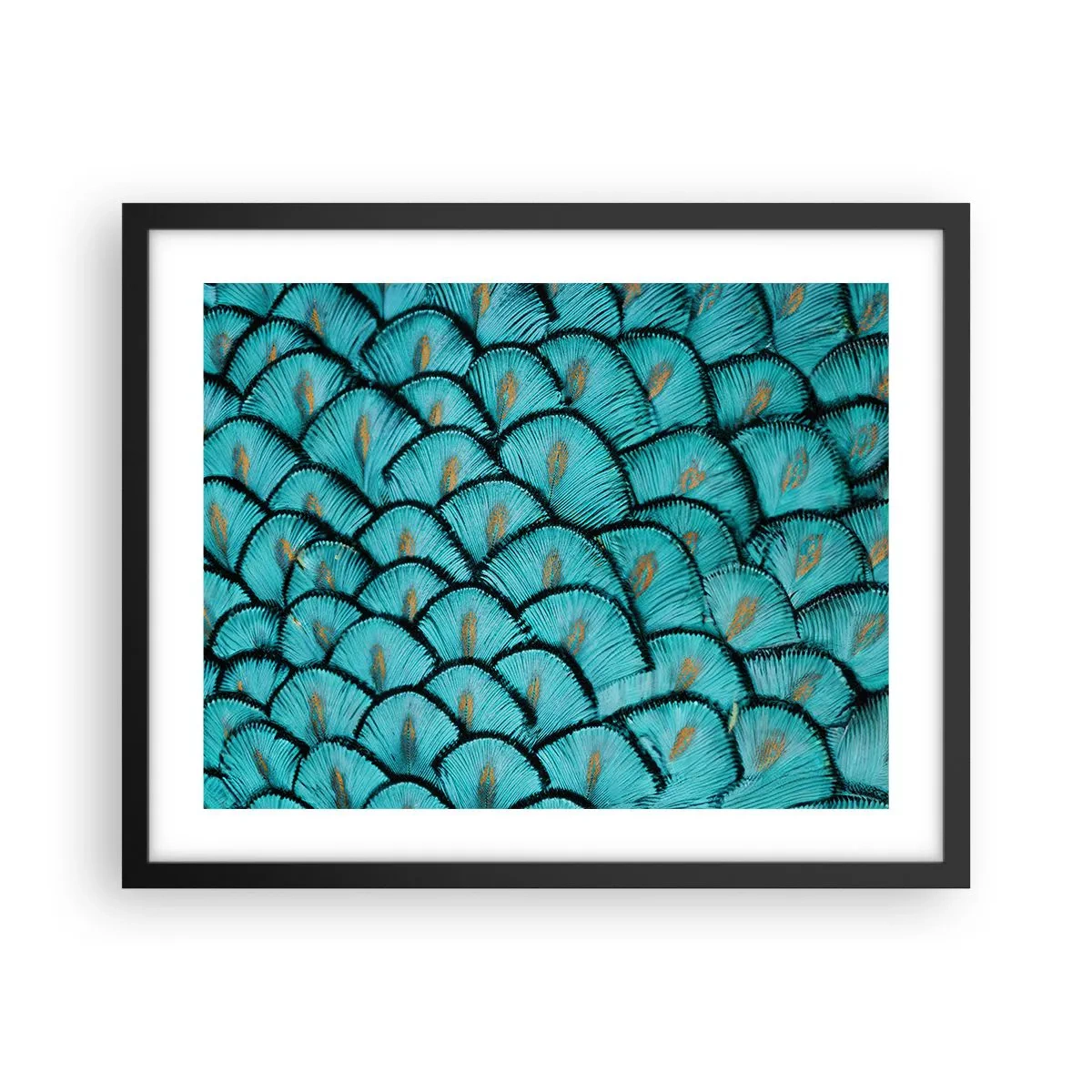 Plakát v černém rámu - Velká slavnost peří - 50x40 cm