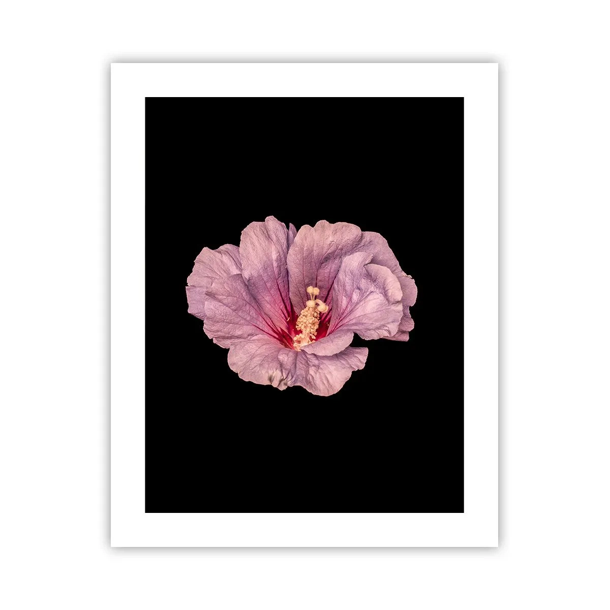 Plakát - Přímo do srdce - 40x50 cm