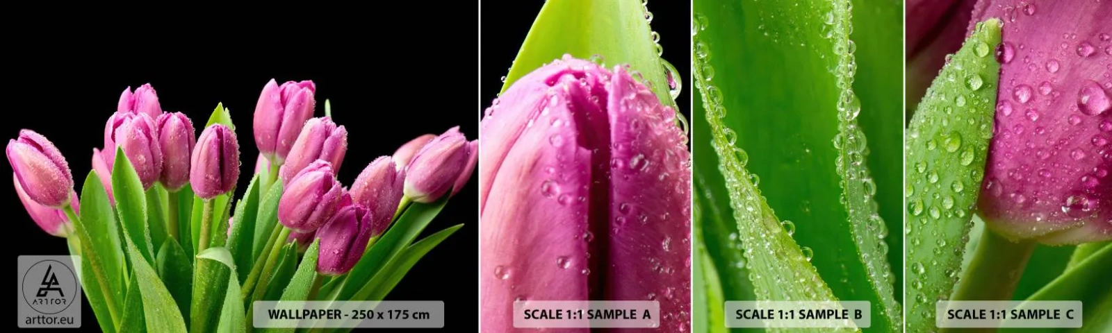 Fototapeta Vzorek Standard Eco - Liliové potěšení jara - Květiny, tulipány, Kytice květin - 100x30 cm