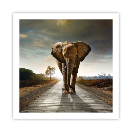 Plakát - A vůbec ne ve skladu porcelánu - 60x60 cm