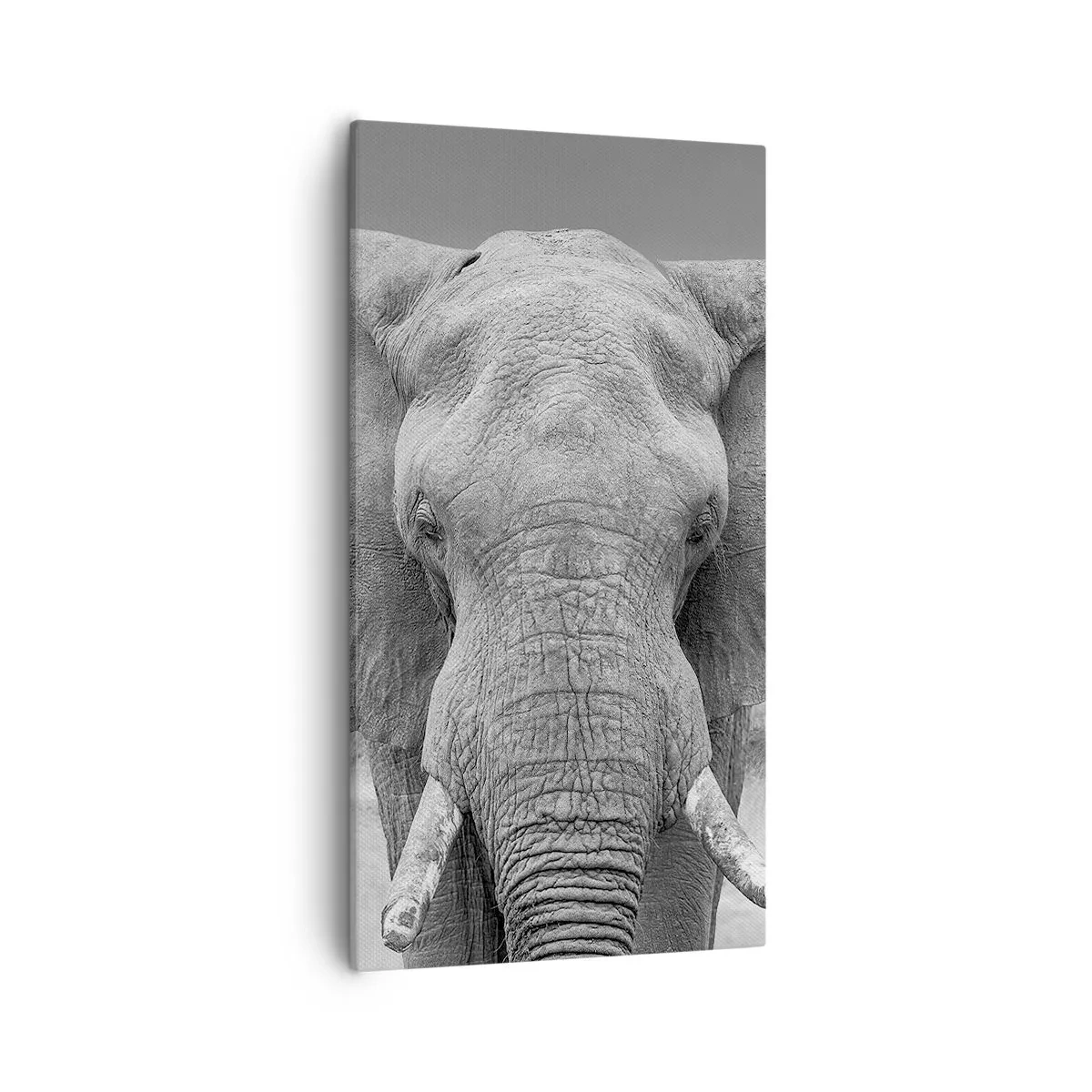 Obraz na plátně - Vítejte v mém světě - 55x100 cm