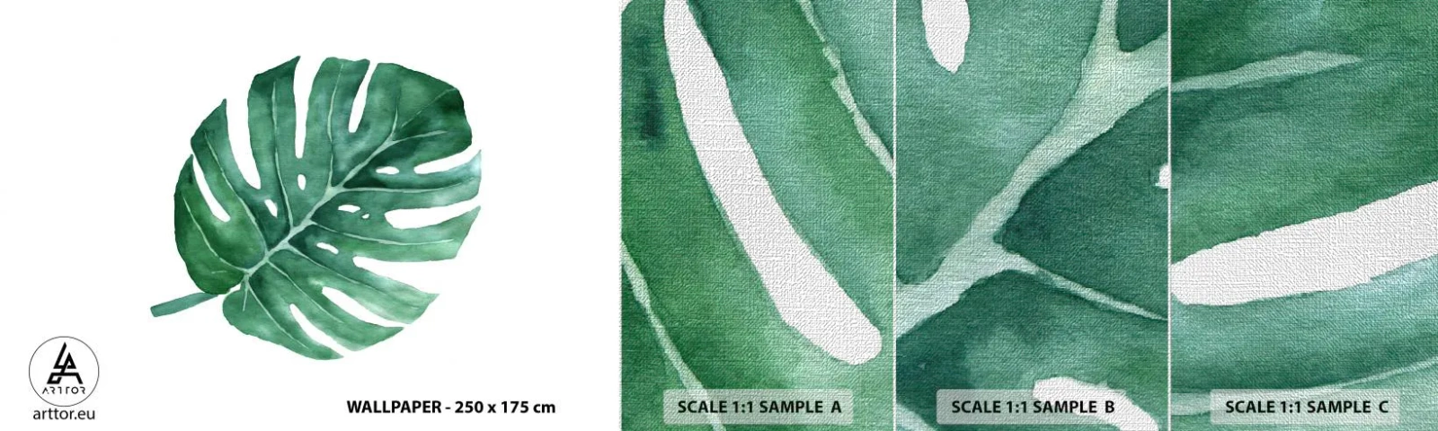 Vzor Fototapety Premium Canvas - Zelený koncept - Monstera, List, Boho - 100x30 cm