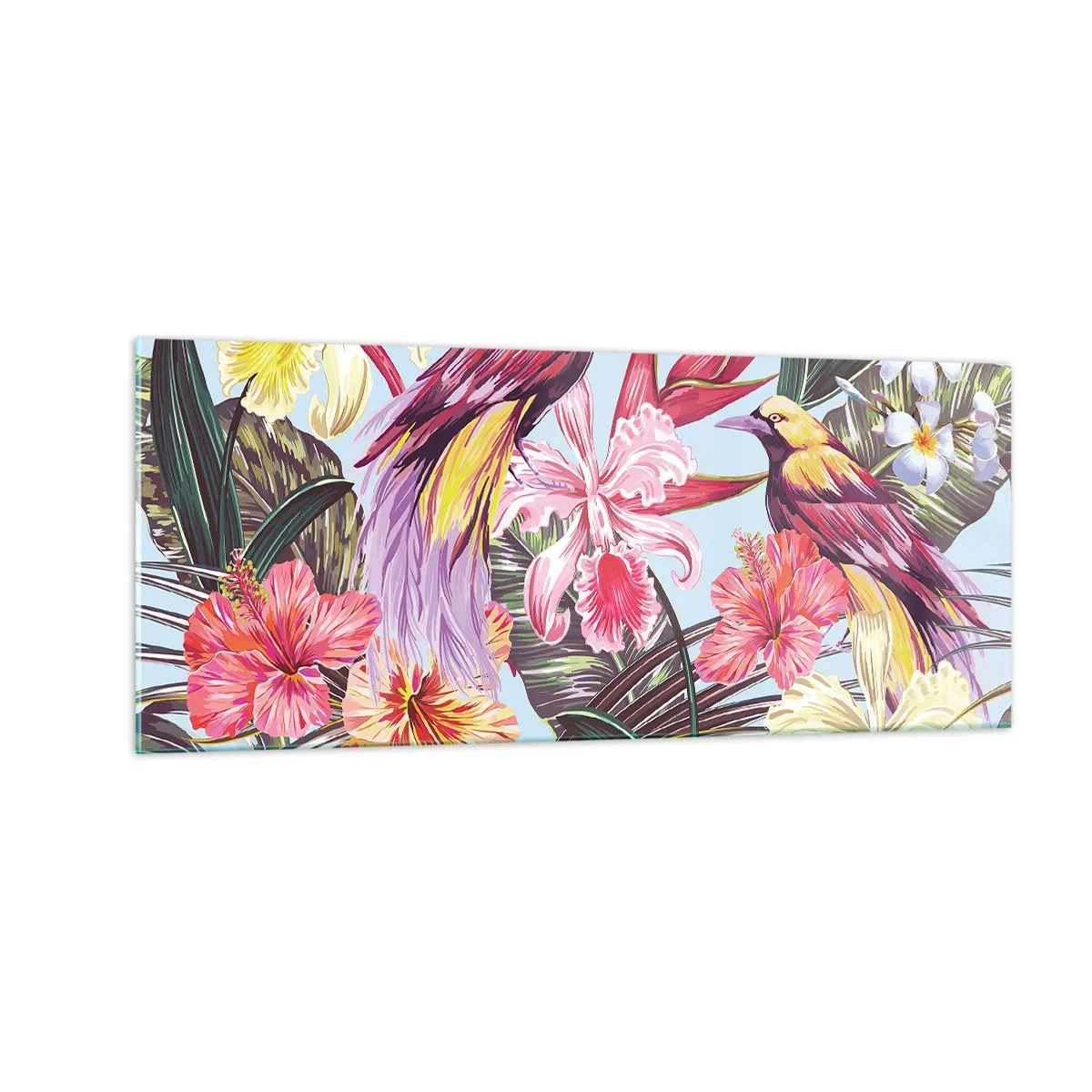 Obraz na skle - Plátky a pírka - 100x40 cm