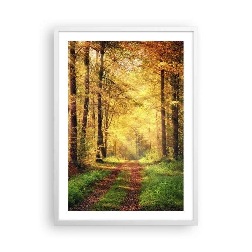 Plakát v bílém rámu - Lesně-zlaté ticho - 50x70 cm