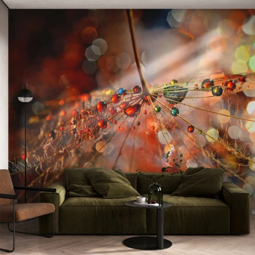 Fototapeta Samolepicí Deluxe Sticker - Navlečeno na pavučinu - Abstrakce, pavoučí síť, Kus - 200x140 cm