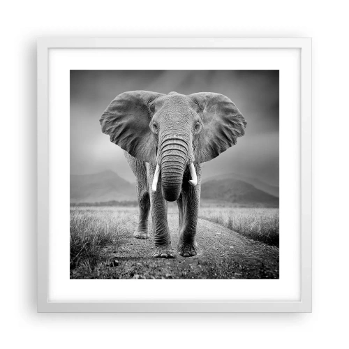 Plakát v bílém rámu - Hostitel vítá - 40x40 cm