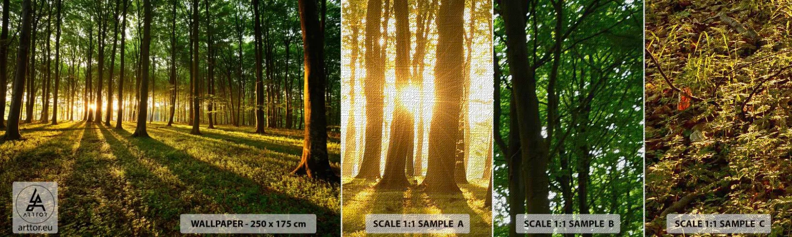 Vzor Fototapety Premium Canvas - Fotografie všech jar - Krajina, Les, Příroda - 100x30 cm