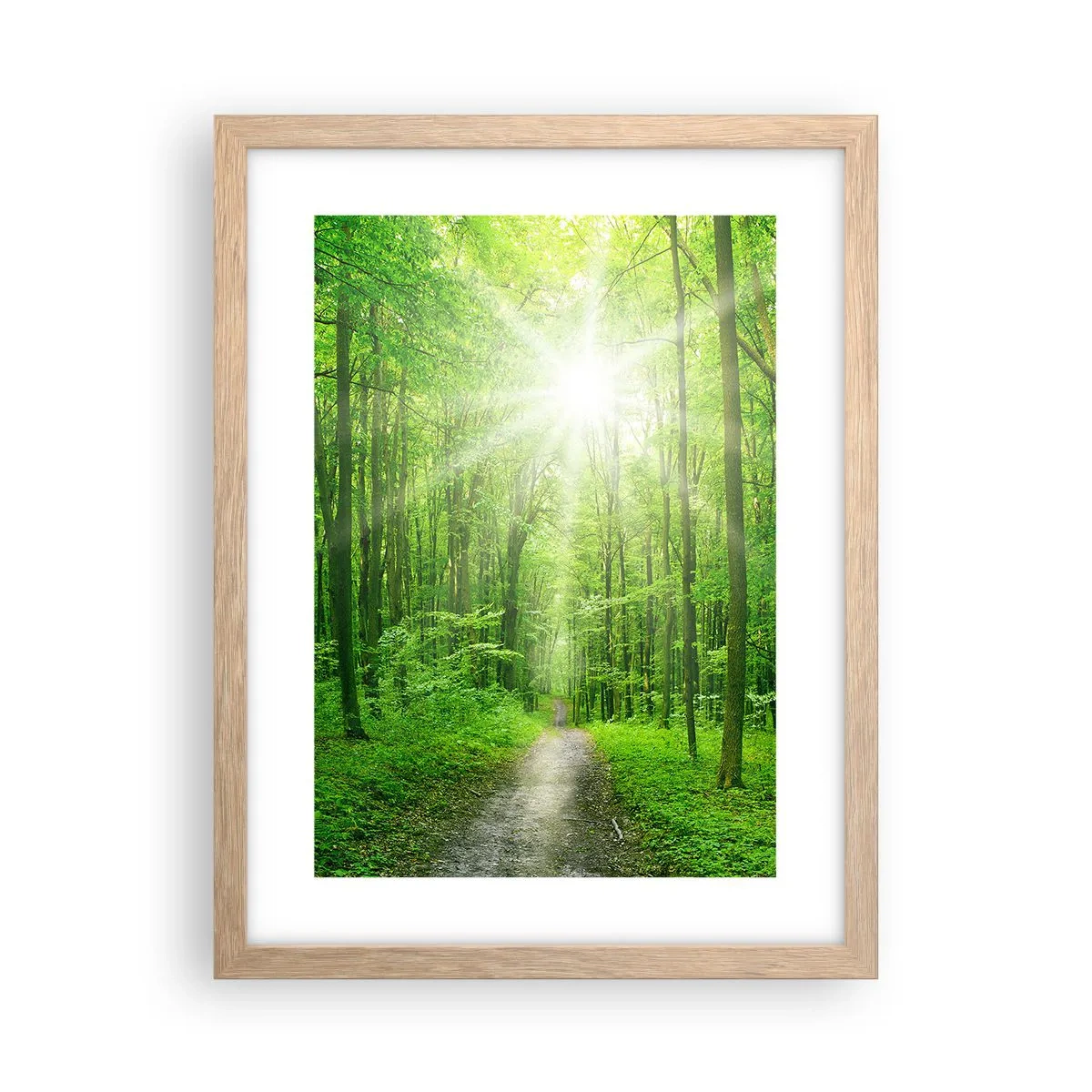 Plakát v rámu světlý dub - Zelená katedrála - 30x40 cm