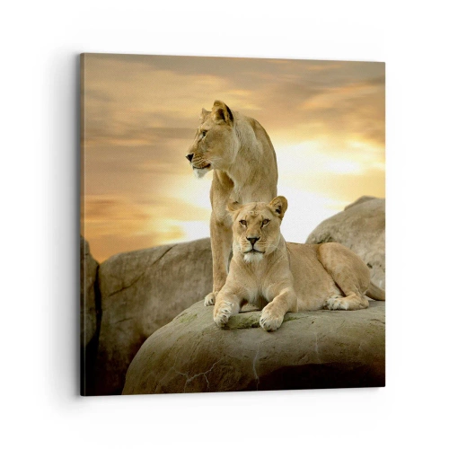 Obraz na plátně - Královský majestát - 70x70 cm