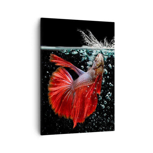 Obraz na plátně - Máš tři přání - 50x70 cm