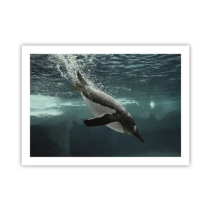 Plakát - Vítejte v mém světě - 70x50 cm