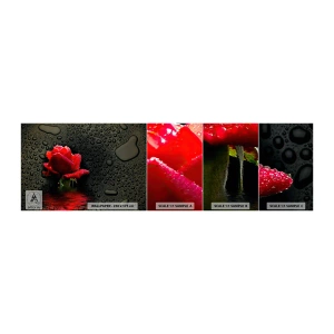 Fototapeta Vzorek Standard Eco - Červené a černé - Květiny, Růže, Voda - 100x30 cm