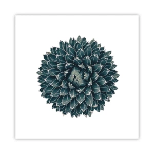 Plakát - Hvězda pouště - 40x40 cm