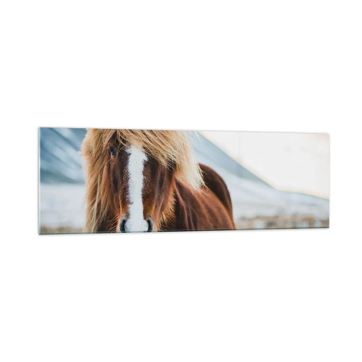 Obraz na skle - Cítíš svobodu? - 160x50 cm